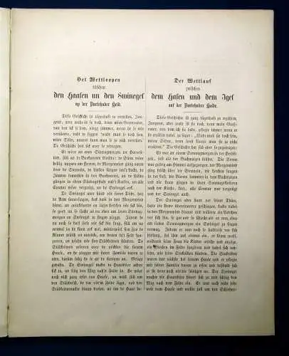 Süß Het Wetloopen tüschen den Haasen un den Swinegel up der Buxtehuder Heid EA j