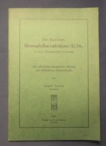 Wilpert Der Hautfarn,Hymenophyllum tunbridgense(L) Sm.,Sächs.Schweiz 1937 js
