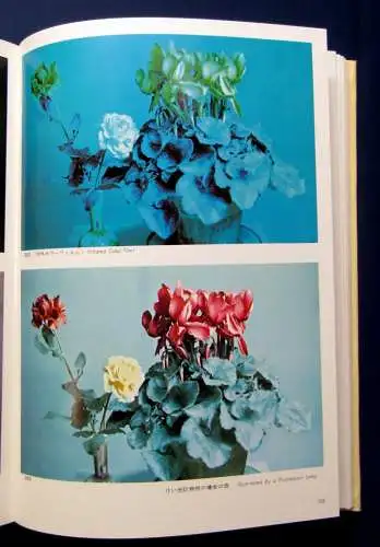 Phtographes of Physical Phenomena II 1973 Wissenschaften js