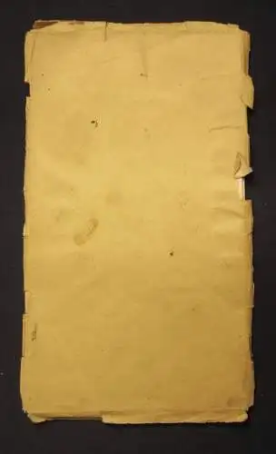 Klemmich Plan von Dresden  koloriert Ortskunde Führer 65x25 cm 1910 js