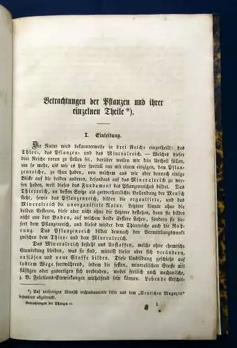 Neubert Betrachtungen der Pflanzen und ihrer einzelnen Theile 1865 Selten  mb