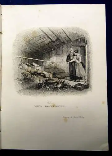 Eberhard, A.G. Hannchen und die Küchlein um 1860 Stahlstiche am