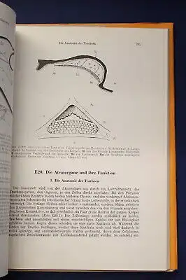 Kaestner Lehrbuch der speziellen Zoologie 1972 Band 1: Wirbellose 3. Teil js