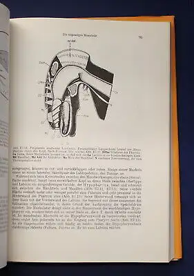 Kaestner Lehrbuch der speziellen Zoologie 1972 Band 1: Wirbellose 3. Teil js