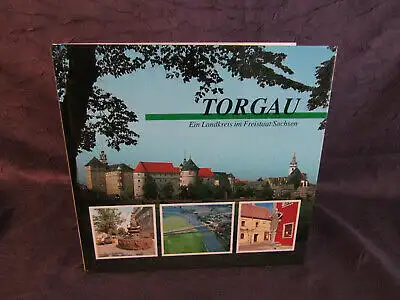 Torgau "Ein Landkreis im Freistaat Sachsen" 1993 Geschichte Ortskunde sf