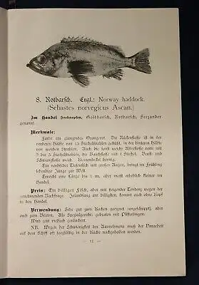 Henking Or. Broschur Seefisch- Bilderbuch für Haus und Schule Wissen O.J. js
