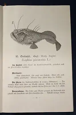 Henking Or. Broschur Seefisch- Bilderbuch für Haus und Schule Wissen O.J. js