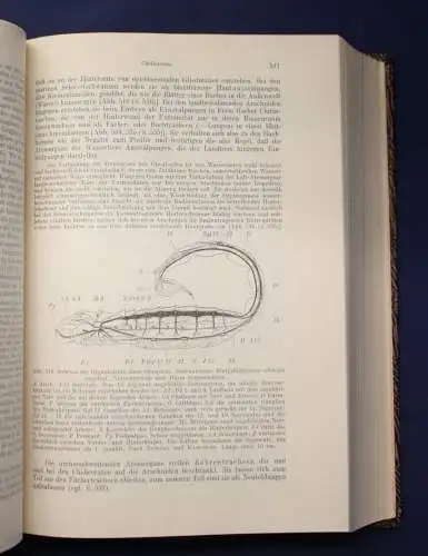 Kaestner Lehrbuch der Speziellen Zoologie Teil 1 Lief. 1-3 1954- 1963 Tiere js