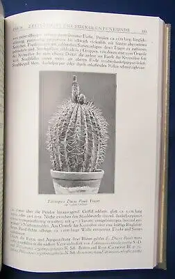 Prof. Dr. Vaupel Zeitschrift für Sukkulentenkunde Bd 3 1927-1928 Hefte 1- 16  js