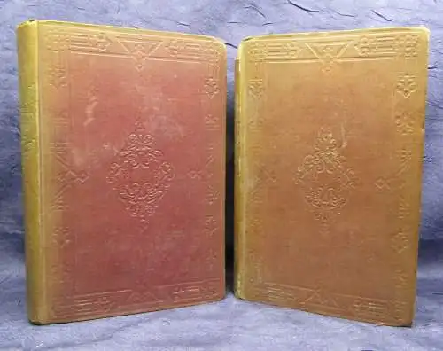 Lever The Dodd Family Abroad 2 Bde (von 3) Die Dood Familie im Ausland 1854  js 