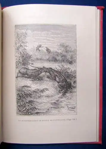 Reid Lex Exploits Des Jeunes Böers um 1880 Die Ausbeutung des junges Böers js