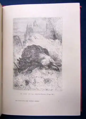 Reid Lex Exploits Des Jeunes Böers um 1880 Die Ausbeutung des junges Böers js