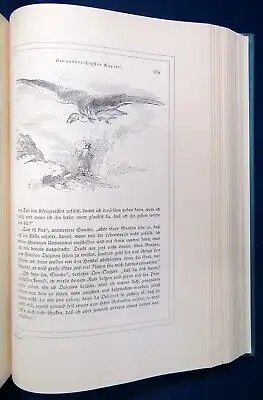 Saavedra Der sinnreiche Junker Don Quijote von der Mancha 2 Bände Johannot  js