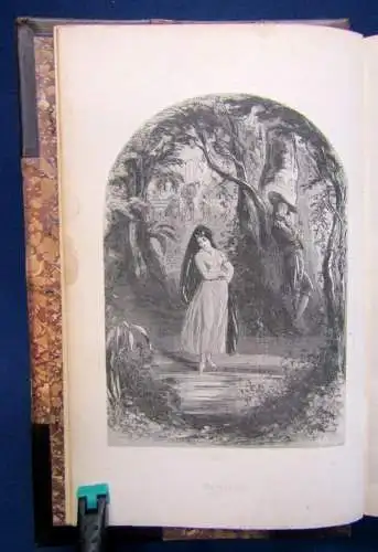 Lever Charles Roland Cashel 1850 EA 38 Stahlstichtafeln von Phiz dekorativ  js 