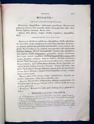 Nova Genera et. Species Plantarum Tom.IV S.217-244(Text) 1815 Humboldt js