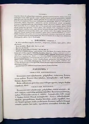 Nova Genera et. Species Plantarum Tom.IV S.217-244(Text) 1815 Humboldt js