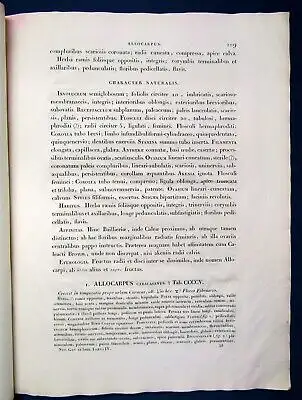 Nova Genera et. Species Plantarum Tom.IV S.217-244(Text) 1815 Humboldt js