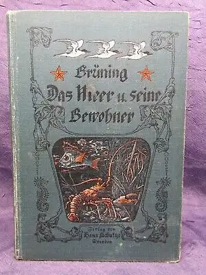 Brüning Das Meer und seine Bewohner 1 Farbtafel/ Abbildungen Naturkunde js