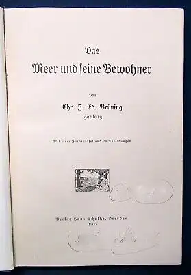 Brüning Das Meer und seine Bewohner 1 Farbtafel/ Abbildungen Naturkunde js