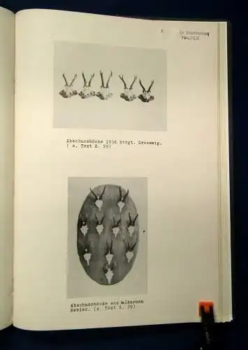 Wildschadenverhütung u. Förderung d. Gehirn u. Geweihbildung o.J. sehr selten js