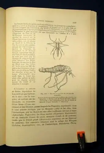 Martonne Traite De Geographie Physique 1932 Abhandlung über phys. Geographie js