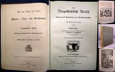 Hellwald Der vorgeschichtliche Mensch Ursprung u. Entwicklung d.Menschen 1874 js