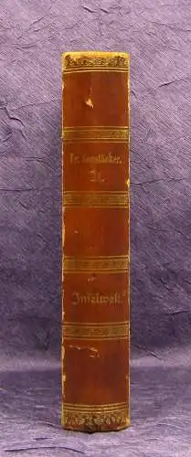 Gerstäcker Gesammelte Schriften Inselwelt um 1870 Belletristik mb