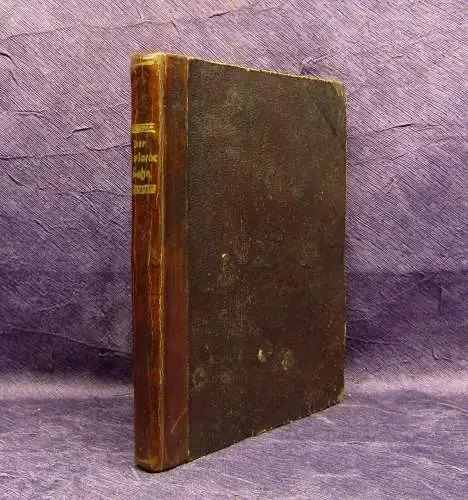 Franz Hoffmann Der verlorene Sohn 1846 mit 4 Stahlstichen Eine Erzählung am