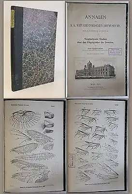 Redtenbacher -Vergleichende Studien über das Flügelgeäder der Insecten 1886 - xz