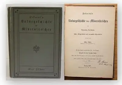 Fischer Naturgeschichte des Mineralreiches 1891 Mineralogie Naturwissenschaften