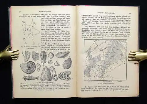 Fischer Naturgeschichte des Mineralreiches 1891 Mineralogie Naturwissenschaften