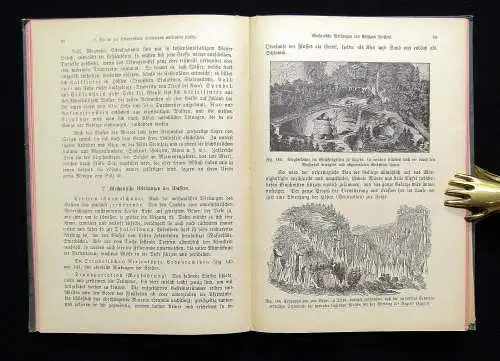 Fischer Naturgeschichte des Mineralreiches 1891 Mineralogie Naturwissenschaften