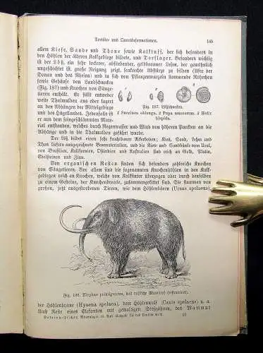 Fischer Naturgeschichte des Mineralreiches 1891 Mineralogie Naturwissenschaften