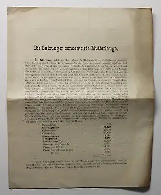 Original Prospekt Die Salzunger concentrirte Mutterlauge Kurort Thüringen 1878