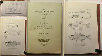 Fowler The Fishes of the G. Vanderbilt South Pacific Expedition 1938 Fische xy