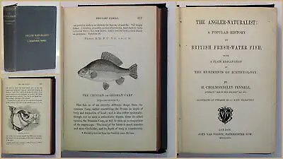 Pennell The Angler Naturalist 1863 Ichthyologie Fische Fischkunde Angeln xy