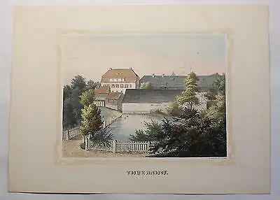 Lithografie Thuernhof Ansicht Sachsen Poenicke Schlösser Rittergüter um 1855 xz
