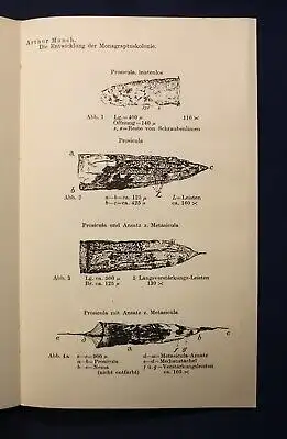 XXII: Bericht der Naturwissenschaftlichen Gesellschaft zu Chemnitz 1925-1927 js