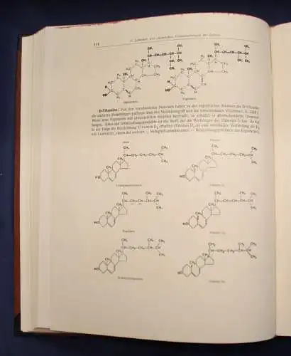 Hamburgische Festschrift, Erinnerung an die Entdeckung Amerikas 1892 Bd 1& 2 js