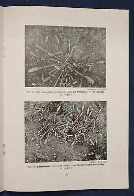 Kästner die Pflanzengesellschaften des westsächs. Berg- & Hügellandes 1939 sf
