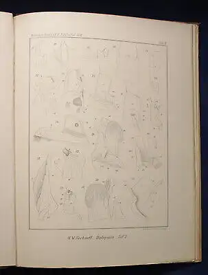 Wangerin Nova Acta Abhandlungen der Naturforscher 1910 / 92. Band Leopoldina js