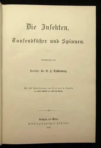 Brehm Tierleben Die Säugetiere 9. Bd apart 1892 Naturwissenschaften Tiere js