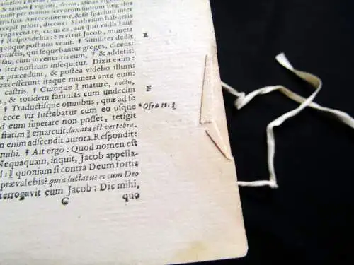 Rößlin Biblia Sacra Veteris et Novi Testamenti plein velin d`epoque 3 in 1, 1664