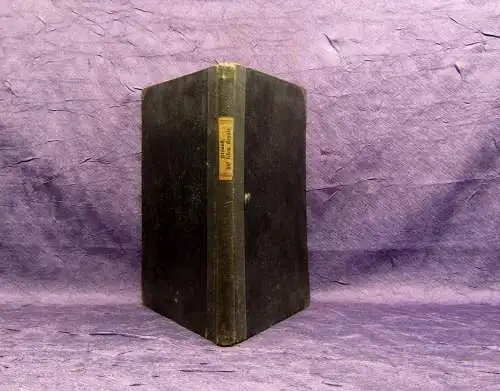 Strauß Auf festem Grunde 1899 Geschichte Gesellschaft Theologie mb