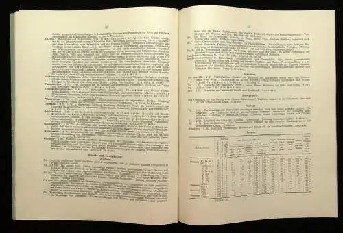 34.Jahresbericht des Kgl. Realgymnasiums zu Döbeln Einladungsschrift 1903 js