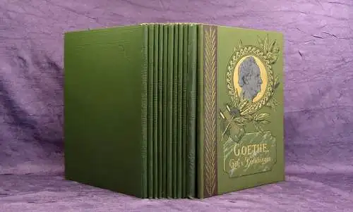 Tegner Goethe Shakespeare 11 Bände um 1900 Belletristik Literatur Lyrik mb