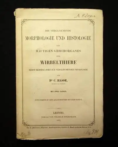 Hasse Morphologie u Histologie des häutigen Gehörorganes d. Wirbelthiere 1873 mb