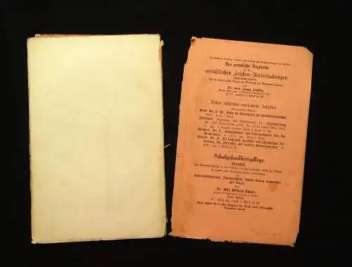 Brügelmann Die Inhalationstherapie bei Krankheiten d. Lunge u.a. 1876 Medizin mb