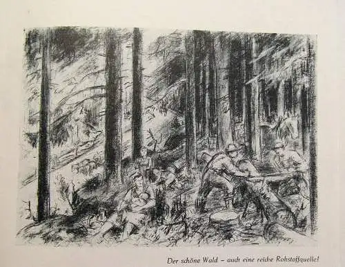 Schierge Unser Geising Aus Heimatliebe geschrieben um 1955 Ortskunde mb