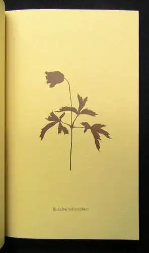 Keup Blumen- Gräser- Früchte in Scherenschnitten selten 1973 Bütten-Papier Druck